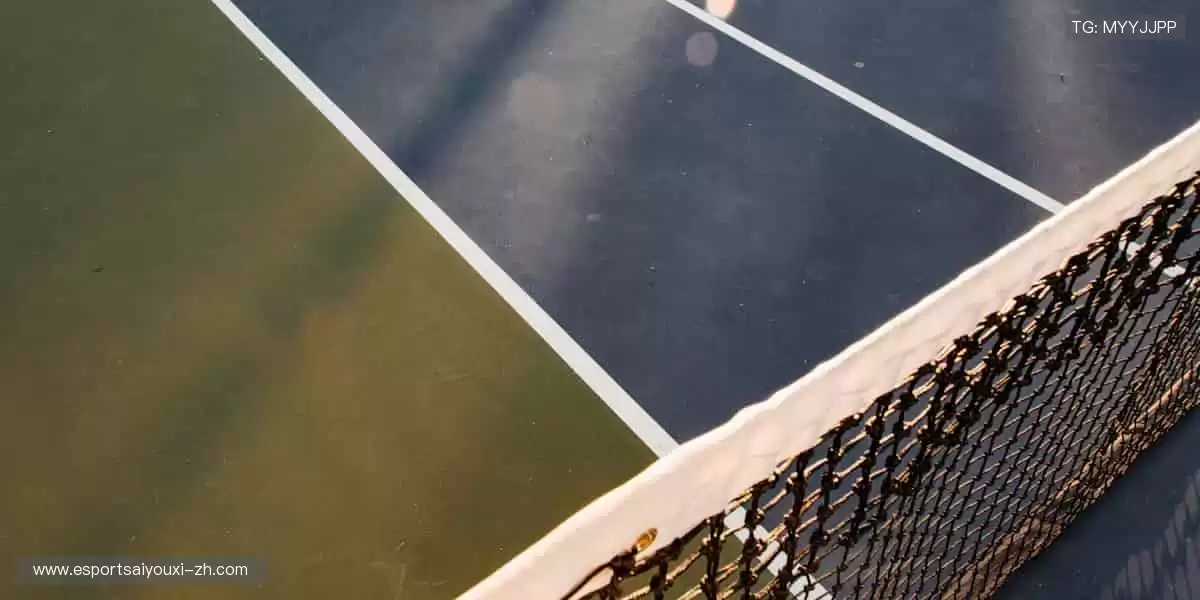 🎮 从装备到收藏，一站式满足你的体育情怀！